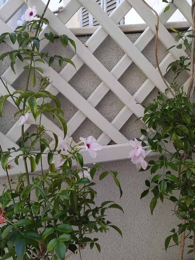 Memories Of Cotton Apartment
